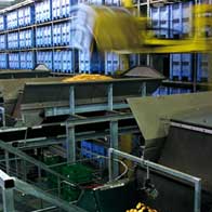 Plastic Bulk Container - best pallet box in Indonesia, Solid, HDPE, Jumbo 1200x1200, B2GC1311S