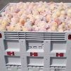 Plastic Bulk Container - best pallet box in Indonesia, Folding Solid, HDPE, Australian, B2GK1165S