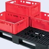 Plastic pallets in Jakarta - a strong plastic pallet from Plastic 2 go Indonesia, Euro 1200x800 , Medium Duty, P2G880